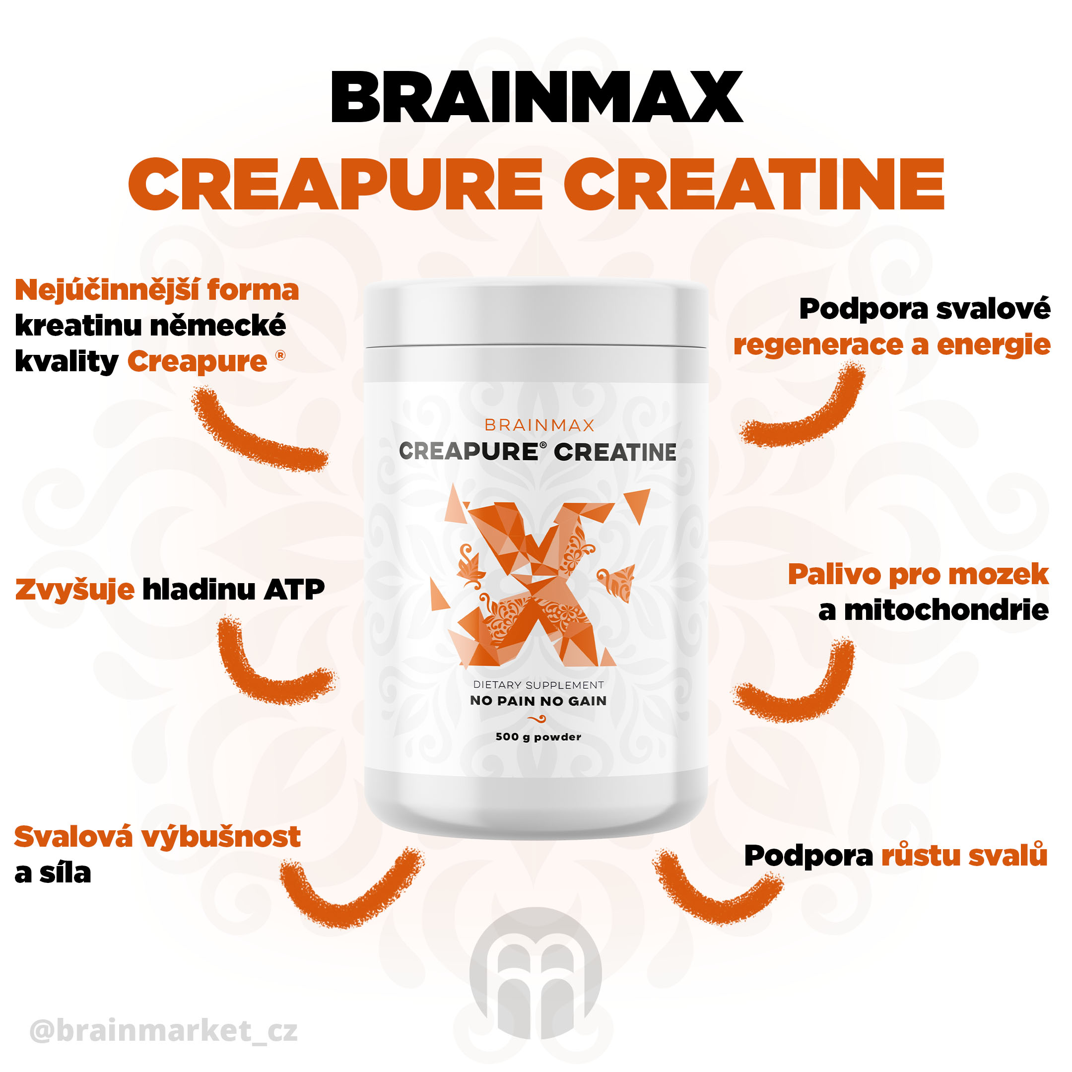 AAAbrainmax creapure kreatyna blog-infografika brainmarket CZ